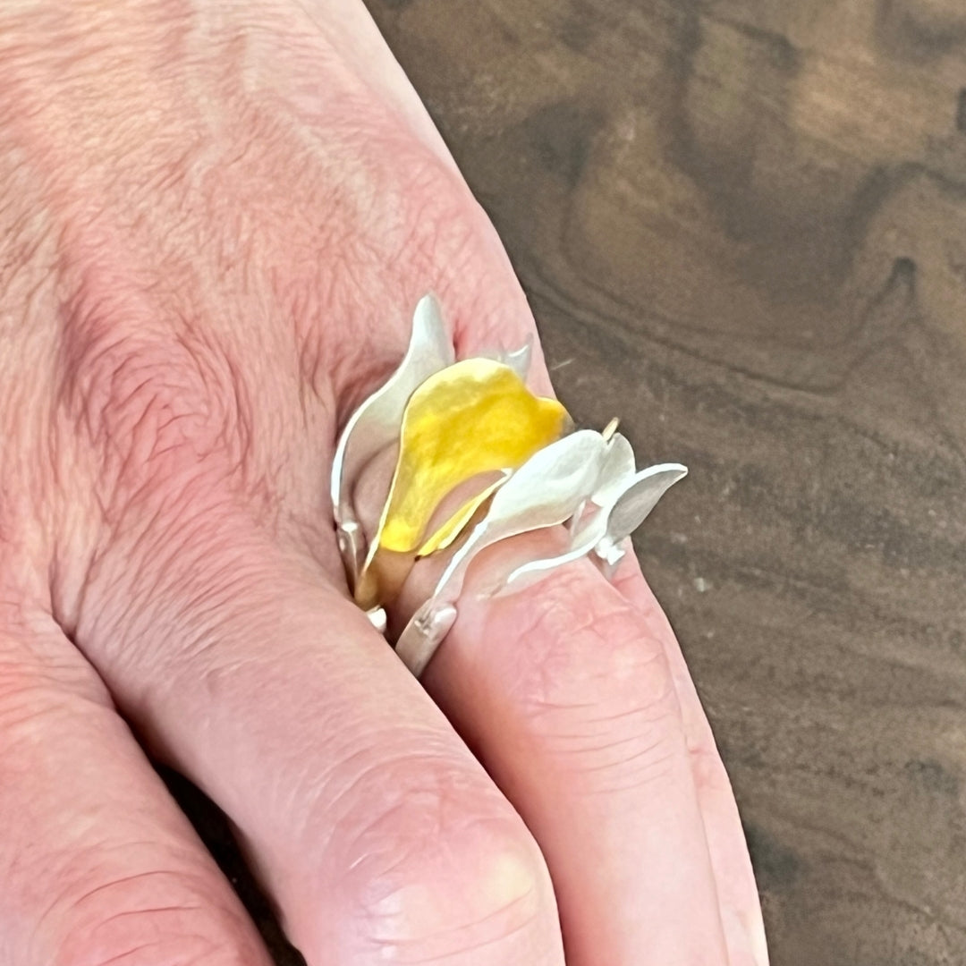 Ripple Ring